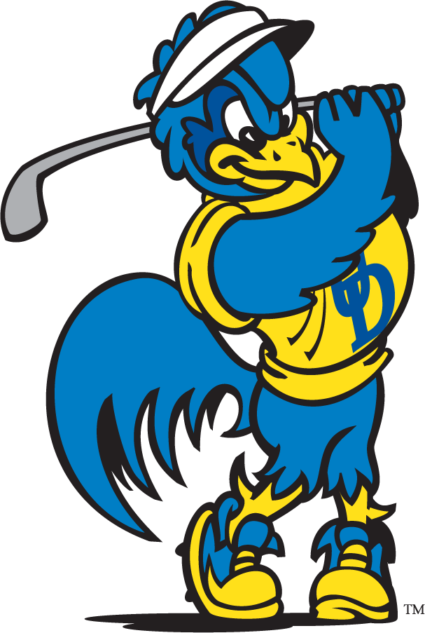 Delaware Blue Hens 1999-2009 Mascot Logo v7 iron on transfers for T-shirts